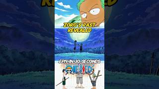 OnePiece EP19 Zoros Past Revealed Anime zoro [upl. by Dorr]