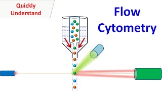 Flow Cytometry [upl. by Erimahs]