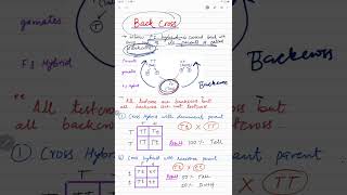 Back Cross  Backcross kise kahte hai 🤔🤨 backcross biology viralshorts [upl. by Noxin]