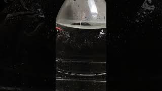 plastic bottle vs hot needle close up [upl. by Richarda227]