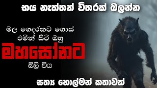 sinhala holman katha  සිංහල හොල්මන් කතා [upl. by Lleon571]