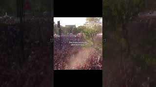 Travis Scott Performing On A Tree travisscott [upl. by Ynohtnael]