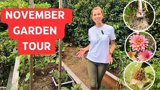 NOVEMBER Vegetable Garden Tour  Plus what to plant now Spring Gardening in Melbourne Australia [upl. by Meriel]