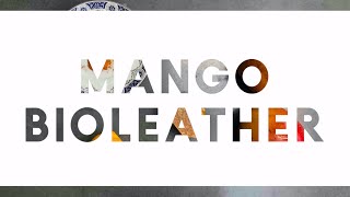 Mango BioLeather Recipe [upl. by Hickie366]