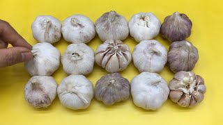 Garlic Is Very Easy To Preserve No Spoilage Shrinkage Or Sprouting Really Effective Method [upl. by Krause]