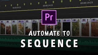 Working with Automated Sequences in Adobe Premiere Pro [upl. by Esmerolda]