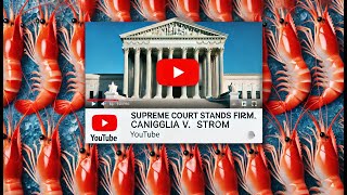 Supreme Court Stands Firm What Caniglia v Strom Means for Your Rights [upl. by German]