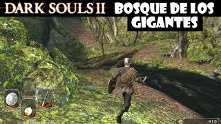 Dark Souls 2 guia BOSQUE DE LOS GIGANTES CAÍDOS 1  Mercader y arma muy buenos  Episodio 3 [upl. by Gaul]