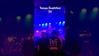 Tampa Deathfest 24 [upl. by Laura]