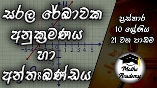 ප්‍රස්තාර  Graphs  Part 1  Lesson 21  Grade 10 Sinhala  MathsAcademy [upl. by Haidabez126]