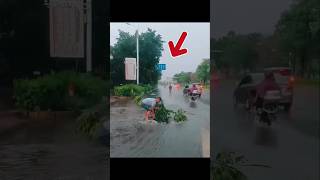 INSTANT FIX 🌳💡 Guy Uses Tree Branch to Cover Open Sewerytshorts shortsfeeds [upl. by Hobbs]