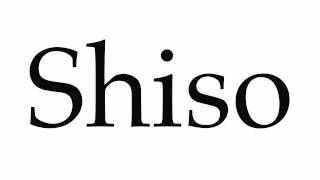 How to Pronounce Shiso [upl. by Mikkanen692]