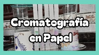 Cromatografía en Papel [upl. by Staley714]