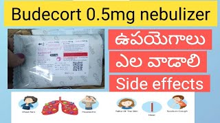 budecort 05mg uses in telugu budecort nebulizer suspension uses nebulization nebulizer cough [upl. by Wilcox]