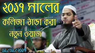 Hafizur Rahman Siddiki Bangla Waz 2017  Bangla New Waz 2017 Kolija Danda Kora New Waz [upl. by Donahue598]