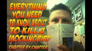 To Kill a Mockingbird part 1 overview summary amp Analysis [upl. by Sateia]