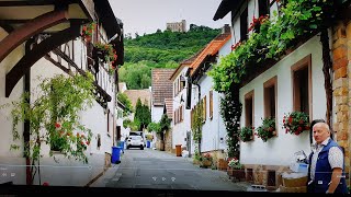 Weingüter in der Pfalz [upl. by Egiaf]