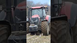 Case IH Optum 300 cvx  Lemken EurOpal 8 [upl. by Leksehc]