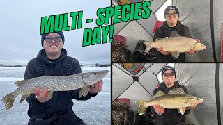 NWT Early Ice Fishing  Multi Species [upl. by Ailegna]