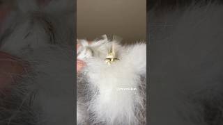 You won’t regret watching this  Adorable fuzzy moth [upl. by Winzler]