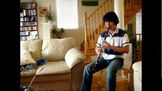 Angel Beats  Alchemy clarinet cover [upl. by Eenert]