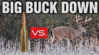 Ultimate Terminal Performance Test Big Buck Down with New Lehigh Defense 65 Creedmoor Ammo [upl. by Gnidleif71]