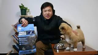 Openbox a new dog food for my puppy He seems cant help eating it dogfoodannamaetpuppyfood [upl. by Jard]