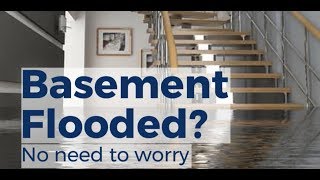 Flooded Basement Just remove dry and reinstall Gerflor GFT flooring [upl. by Stedman]