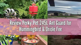 Review PerkyPet 245L Ant Guard for Hummingbird amp Oriole Feeders  Protects Nectar From Ants Red P [upl. by Ferrel]