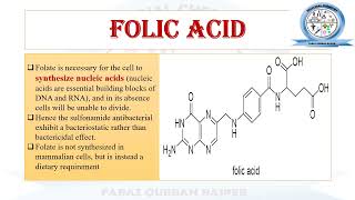 Mechanism of Action of Sulfonamides Trimethoprim Folic Acid PABA  DHF THF  Medicinal Chemistry [upl. by Colfin]