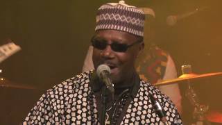 GyeduBlay Ambolley amp His Sekondi Band in Amsterdam [upl. by Otreblif]