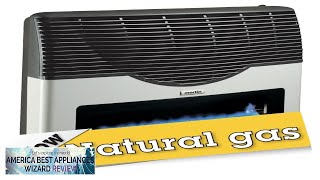 Martin Natural Gas Direct Vent Thermostatic Heater 20000 Btu Visor Review [upl. by Aronoh]