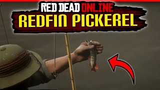 RDR2 Redfin Pickerel in Red Dead Online  8 Locations Timestamps RDR2 Online  RDO [upl. by Nyrol]