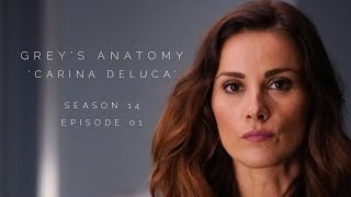 Stefania in Greys Anatomy S14E01 as Carina DeLuca [upl. by Leffert]