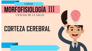 TEMA CORTEZA CEREBRAL [upl. by Ribal925]