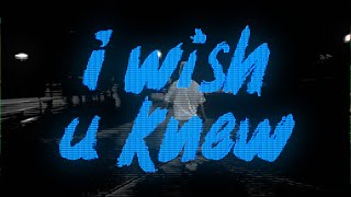 vaultboy  i wish u knew Official Lyric Video [upl. by Adelle57]