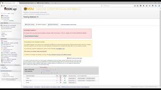 REDCap Making Production Changes at Virginia Commonwealth University [upl. by Cantone]