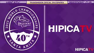 Hípica TV Livestream  Sabado 4 de Noviembre 2023 [upl. by Aicile]