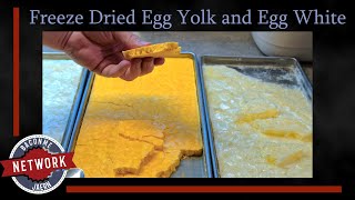 Jaern Freeze Dried Egg Yolk and Egg White [upl. by Friederike]