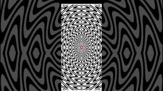 The Black and White Optical Illusions That Tricked A Generation [upl. by Haseefan]