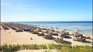 Best Marsa Alam hotels YOUR Top 10 hotels in Marsa Alam Egypt [upl. by Blum77]