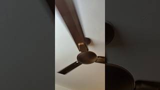 My Ceiling Fan 😁 fan shortvideo fansound shorts viralvideo [upl. by Akemrej893]