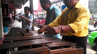 Tapachula Chiapas con la marimba [upl. by Fan344]