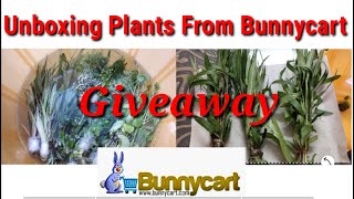 Bunnycart plants review  Unboxing plants from bunnycart  buy plants online  aquatic plants [upl. by Notnil969]