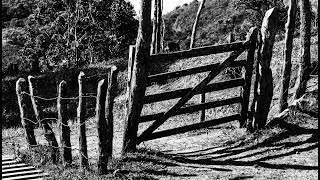 Exposição Fotografias de Tarcísio de Paula [upl. by Dail997]