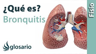 BRONQUITIS  Qué es qué estructuras afecta síntomas signos causas y tratamiento fisioterapéutico [upl. by Perren222]