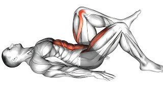 The MOST EFFECTIVE Stretches for Beginners [upl. by Hilten]