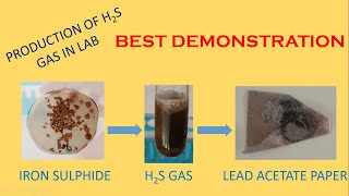 English  H2S gas Production using FeS and dilH2SO4  Lead acetate paper test  Chem Demo  Std 10 [upl. by Cosmo]