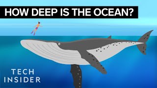 This Incredible Animation Shows How Deep The Ocean Really Is [upl. by Klockau]