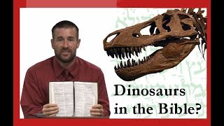 Steven Andersons Crazy Teachings on Dinosaurs and the Bible [upl. by Tolecnal]